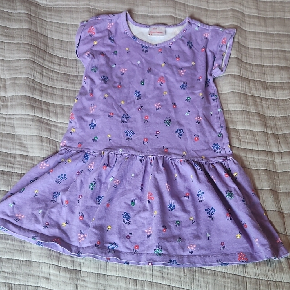Hanna Andersson Purple Raglan Sleeve Sundress